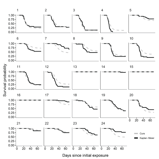 Graphs showing Kaplan-Meier survival curves and mixture cure model estimates from
                        the most highly supported model for coho salmon sentinel trials