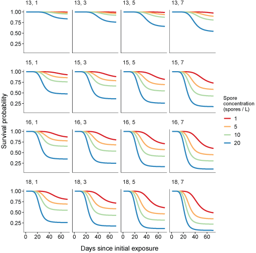Graphs showing predictions of survival probability over time from the most highly
                        supported mixture cure model