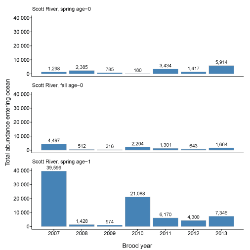 Graphs showing total abundance of coho salmon entering the ocean for each brood year
                        and life history for fish produced in the Scott River and Shasta River, northern California,
                        brood years from 2007 to 2013 and from 2005 to 2013, respectively