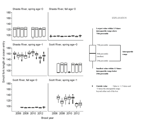 Boxplots showing fork length of coho salmon smolts at ocean entry for each source
                        life history, and brood year