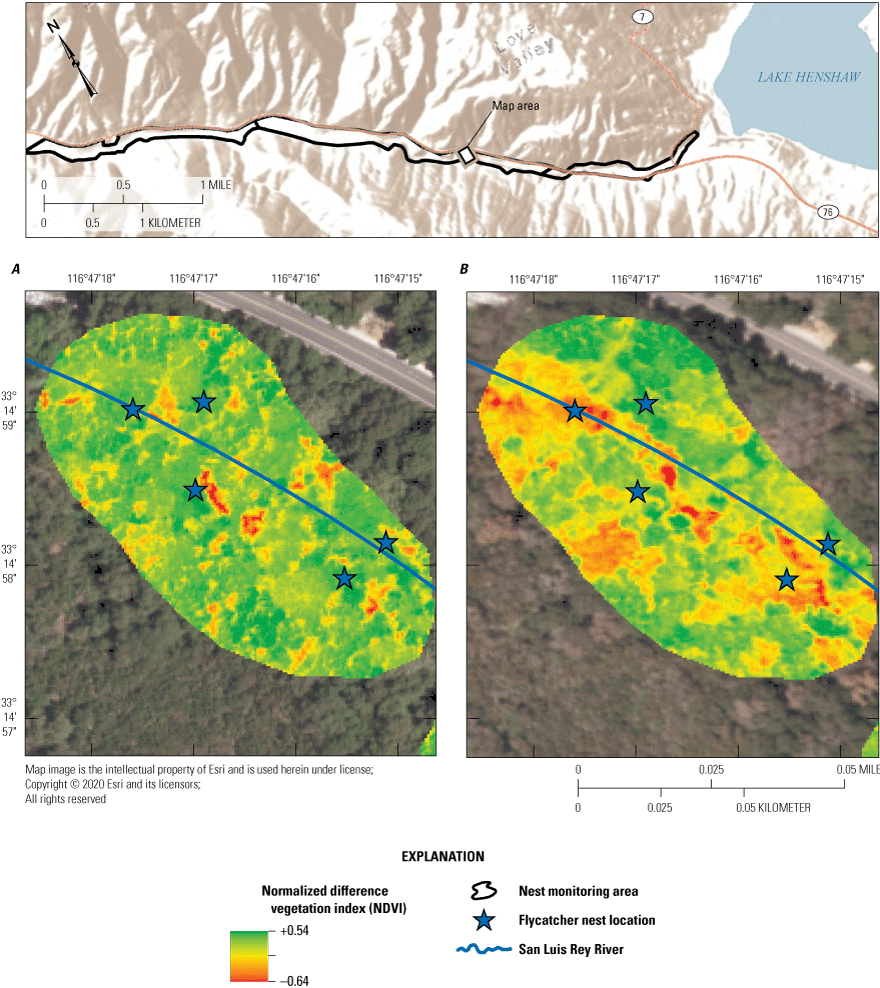 11. Comparison of two images, showing more dead vegetation present in 2020 than in
                              2016.