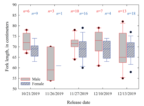 Boxplots showing fork lengths of radio-tagged adult coho salmon (Oncorhynchus kisutch)
                        released in Lake Creek, Oregon, 2019.