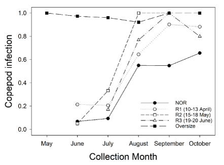 Graph showing proportion of juvenile Chinook salmon infected with the copepod Salmincola
                     californiensis in Lookout Point Reservoir during May–October 2018. Figure was reprinted
                     from Kock and others (2019b). Acronyms in the figure include the following: NOR =
                     natural origin; R1 = release 1; R2 = release 2; R3 = release 3. Release dates are
                     shown in parentheses for R1, R2, and R3.