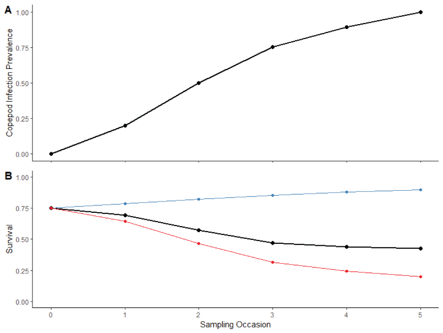 Graphs showing example survival curve used in the simulation model, (A) the example
                        copepod infection prevalence used to generate survival curves in bottom panel, and
                        (B) the red line represents the effect of copepod infection prevalence on survival
                        ignoring the time effect and the blue line represents the effect of time ignoring
                        the copepod effect. The black line depicts survival as result of both effects and
                        is representative survival curve used in the simulation model. On the x-axis, Sampling
                        Occasions occur over time (months since release).