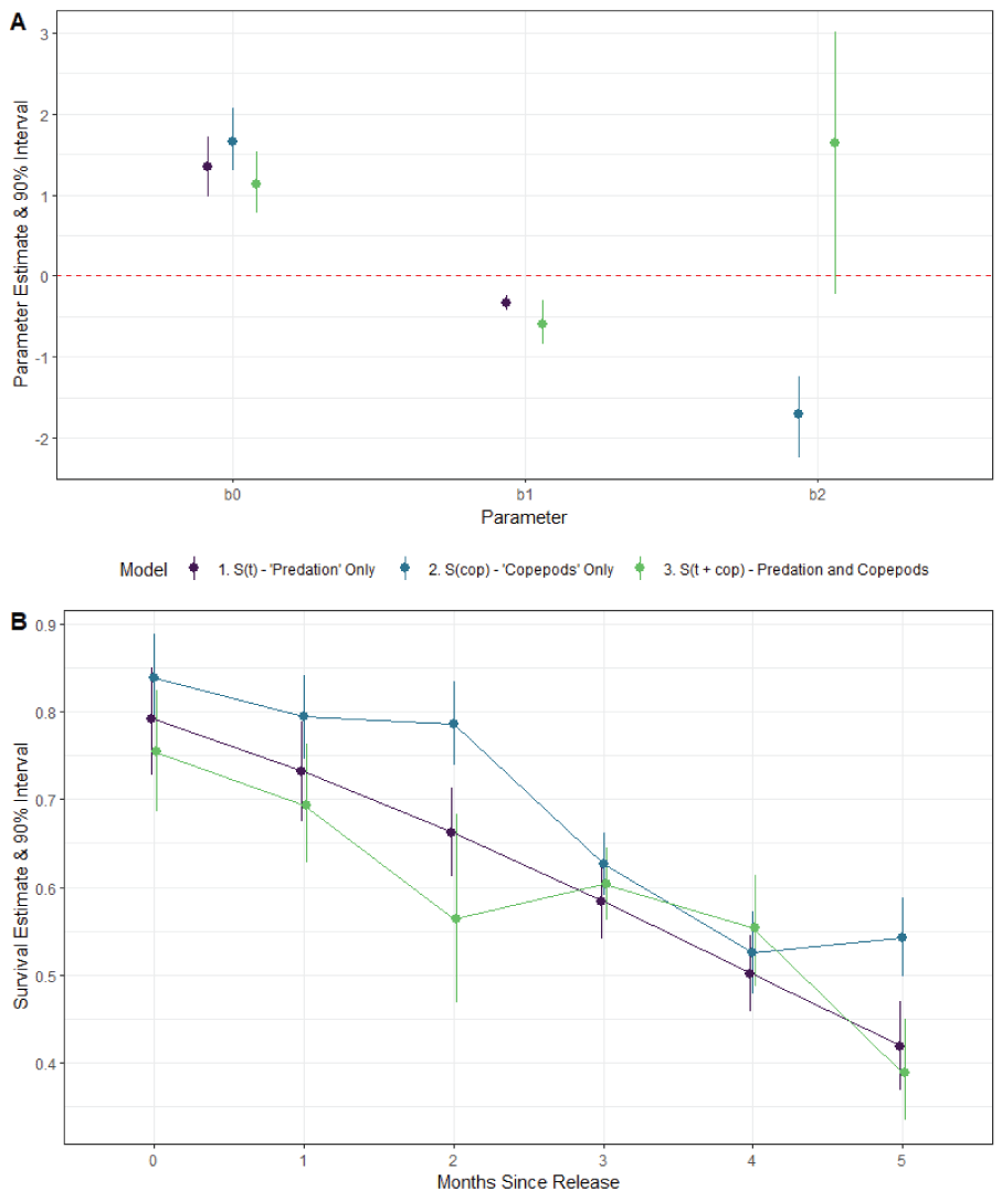 Graphs showing (A) parameter estimates and 90-percent posterior uncertainty intervals
                        for the coefficients of survival (S) of the PBT N-mixture model applied to field data
                        from Lookout Point in 2018. b0 is the intercept, b1 is the slope of time, and b2 is
                        the slope of the copepod effect. The red dashed line is zero; if the posterior interval
                        overlaps the red-dashed line then the model was unable to successfully detect an effect
                        of that covariate, and (B) time period specific estimates of survival for three models.
                        Symbols show the point estimates for survival (S) and whiskers show the 90-percent
                        credible intervals. The x-axis represents time, in months, since release.