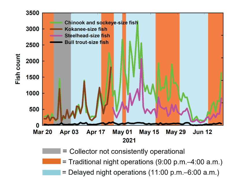 Daily count (on the date of detection) of smolt and bull trout-size fish at the collector
                        entrances using the adaptive resolution imaging sonar at the Selective Water Withdrawal
                        collector at Lake Billy Chinook, Oregon, 2021.