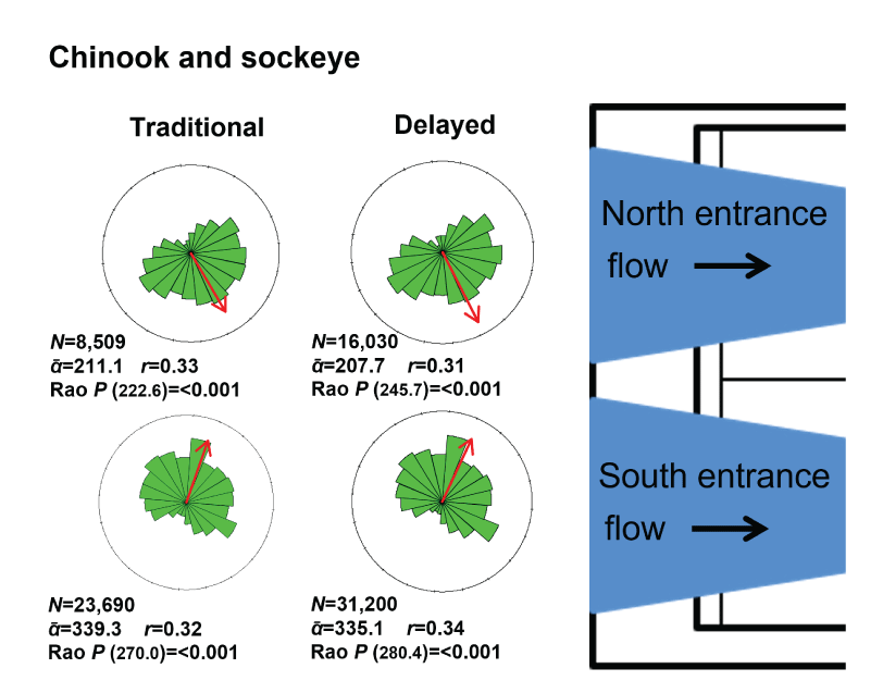 Mean travel directions for Chinook and sockeye smolt-size fish detected under Traditional
                        and Delayed timing scenarios using the adaptive resolution imaging sonar at the entrance
                        of the Selective Water Withdrawal collector at Lake Billy Chinook, Oregon, 2021.