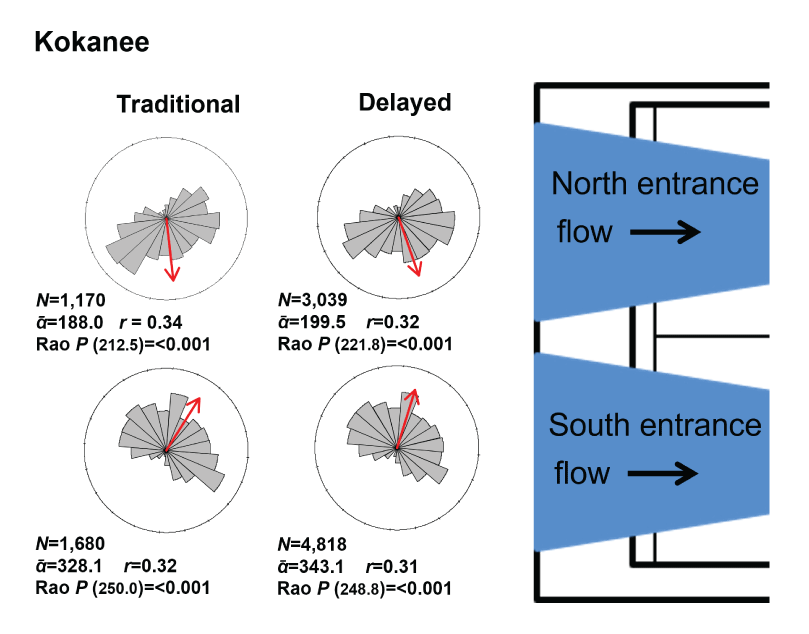 Mean travel directions for kokanee-size fish detected under Traditional and Delayed
                        timing scenarios using the adaptive resolution imaging sonar at the entrance of the
                        Selective Water Withdrawal collector at Lake Billy Chinook, Oregon, 2021.