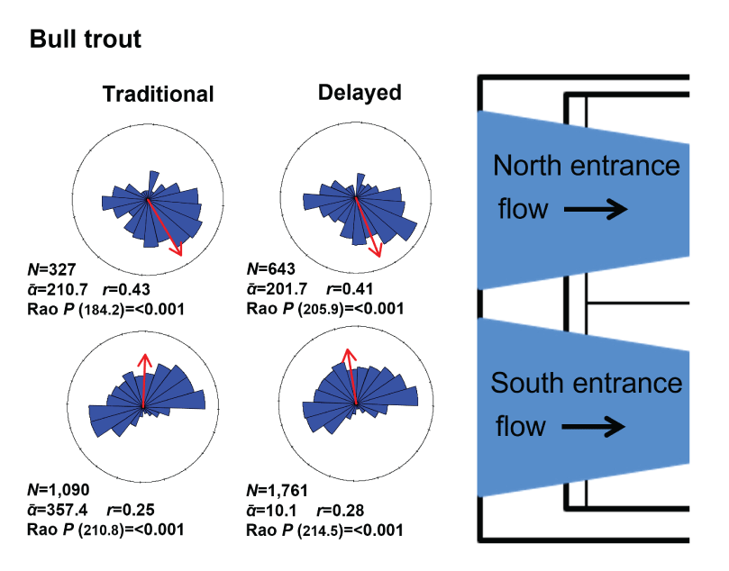 Mean travel directions for bull trout-size fish detected under Traditional and Delayed
                        timing scenarios using the adaptive resolution imaging sonar at the entrance of the
                        Selective Water Withdrawal collector at Lake Billy Chinook, Oregon, 2021.