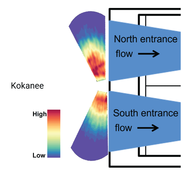 Kokanee-size fish detected at the collector entrances using the adaptive resolution
                        imaging sonar at the Selective Water Withdrawal collector at Lake Billy Chinook, Oregon,
                        2021.