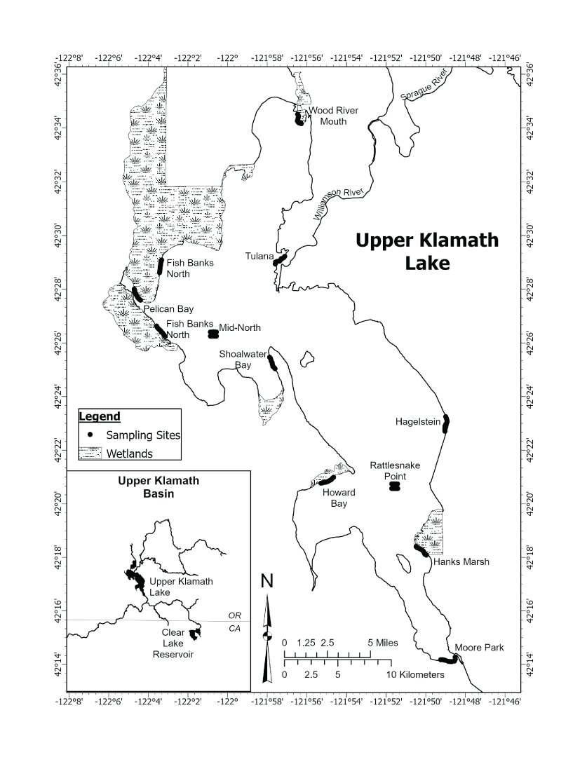 Map showing locations of sample sites used to capture juvenile suckers in Upper Klamath
                     Lake, Klamath County, Oregon, 2020.