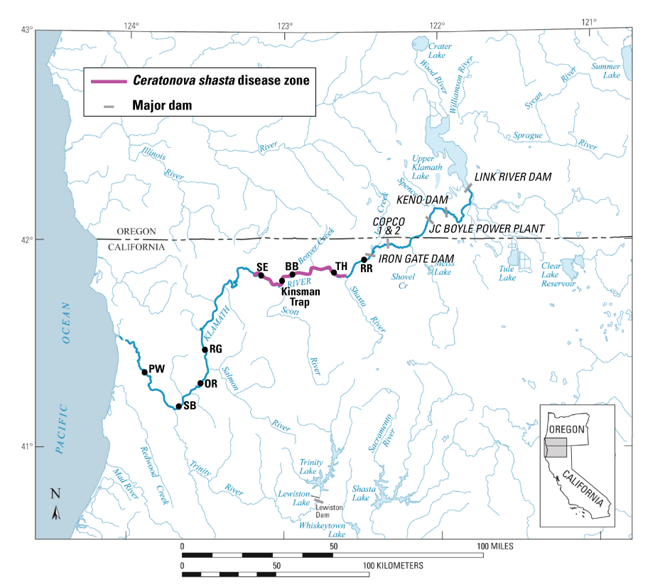 Map showing locations of major tributaries, dams, the Kinsman fish trap upstream from
                     the confluence with the Scott River, the Ceratonova shasta disease zone, and locations
                     of two-dimensional hydrodynamic models used to model habitat of Chinook salmon (Oncorhynchus
                     tshawytscha) on the Klamath River, Oregon and California.