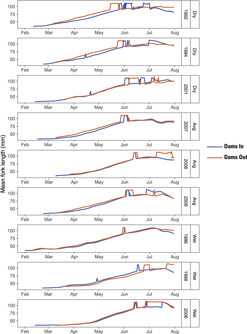 Graphs showing simulated size of juvenile Chinook salmon (Oncorhynchus tshawytscha)
                     at ocean entry for Dams In and Dams Out scenarios, Klamath River, California, water
                     years 1992–2009.