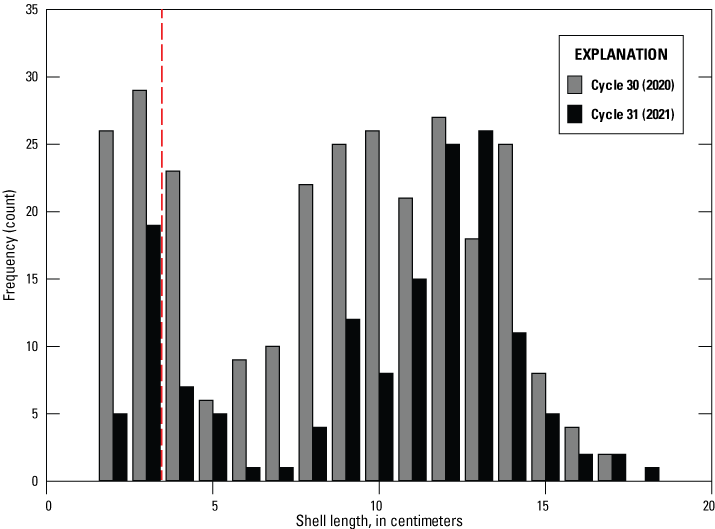 14. Distribution totals shown in histograms of shell length.
