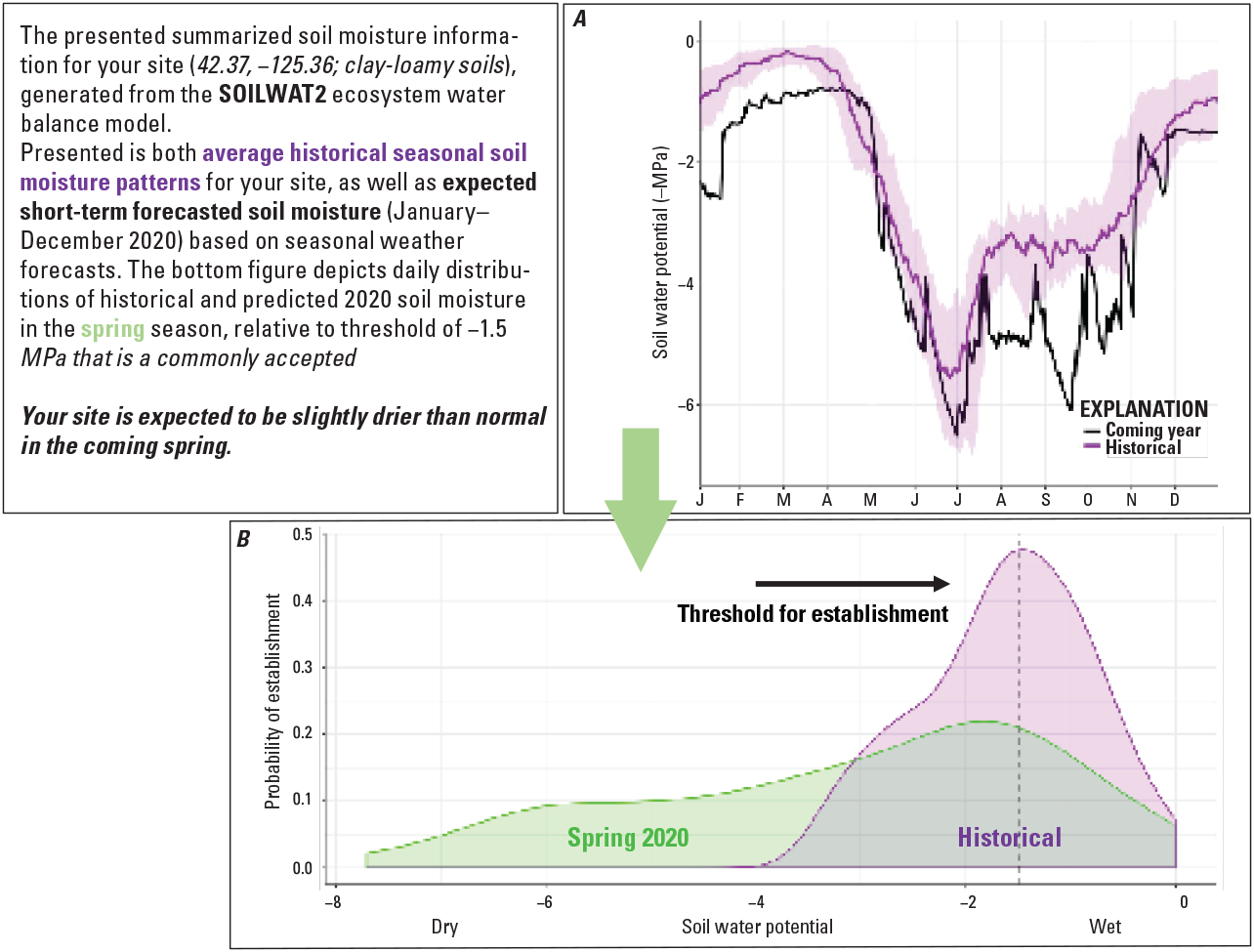 Figure 4. One plot of predicted and historical soil water potential from January to
                        December and another plot of historical and predicted probability of establishment
                        versus soil water potential.