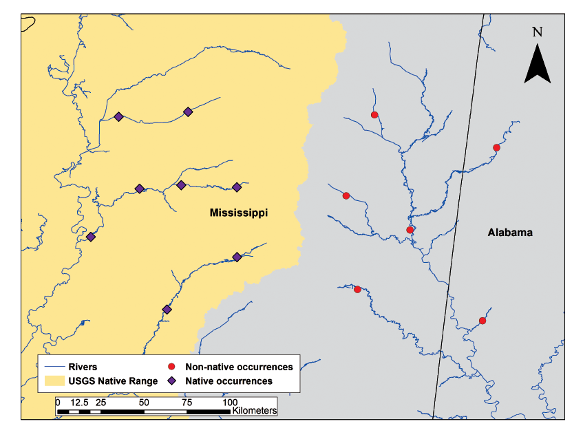 Figure 5. Map of eastern Mississippi and western Alabama showing locations of native
                        and non-native species occurrences.