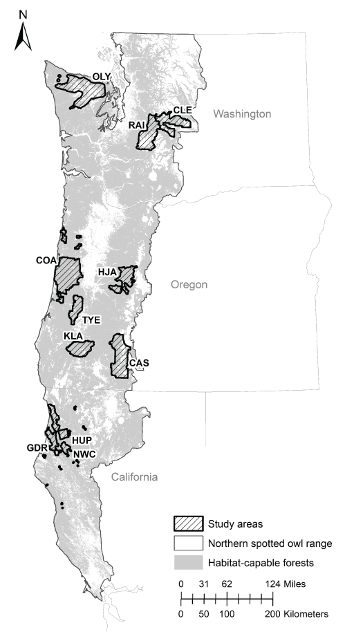 Map showing locations of 11 study areas used to estimate per survey estimates of the
                        probability of detection for northern spotted owl (Strix occidentalis caurina) pairs,1993‒2018.
                        This includes three study areas in Washington (Olympic, Rainier, Cle Elum), five study
                        areas in Oregon (Coast Ranges, HJ Andrews, Tyee, Klamath, South Cascades) and three
                        study areas in California (NW California, Hoop, and Green Diamon Resources). Figure
                        is taken from Dugger and others (2016).