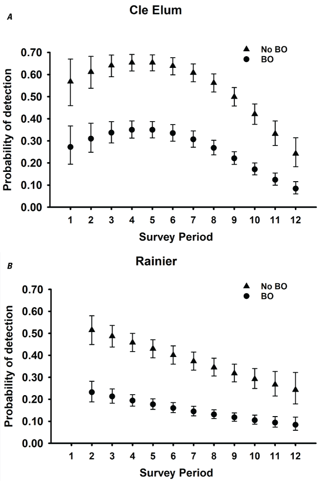 Graphs showing estimates of detection probabilities with 95-percent confidence limits
                     for northern spotted owl (Strix occidentalis caurina) pairs when barred owls (Strix
                     varia; BO) are detected and when they are not across all twelve 2-week survey periods
                     (March 1–August 31) conducted within seasons for Cle Elum, Rainier, Olympic, Coast
                     Ranges, HJ Andrews, Tyee, Klamath, South Cascades, Northwest California, Hoopa, and
                     Green Diamond Resources study areas, Washington, Oregon, and California, 1993–2018.
                     Surveys during period 1 in Rainier and South Cascades, and period 1 and 2 in Northwest
                     California were not conducted in any year, so estimates were excluded for those periods.
