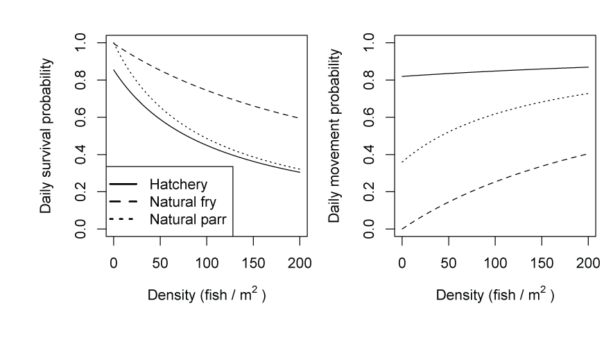 Graphs showing the effect of fish density on daily survival (left) and movement (right)
                           probabilities for hatchery- and naturally produced subyearling Chinook salmon (Oncorhynchus
                           tshawytscha). Parameter estimates for the intercept of the Beverton-Holt model (model
                           4) fit to the Willow Creek trap abundance estimates were used to produce the curves.
