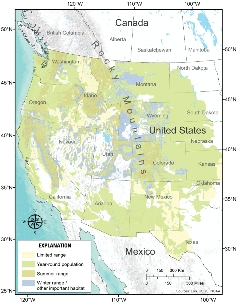 A map of the western United States depicting various mule deer (Odocoileus hemionus)
                        range classifications. The largest portion of the map is covered by the year-round
                        population, with the map also showing limited, summer, and winter ranges.