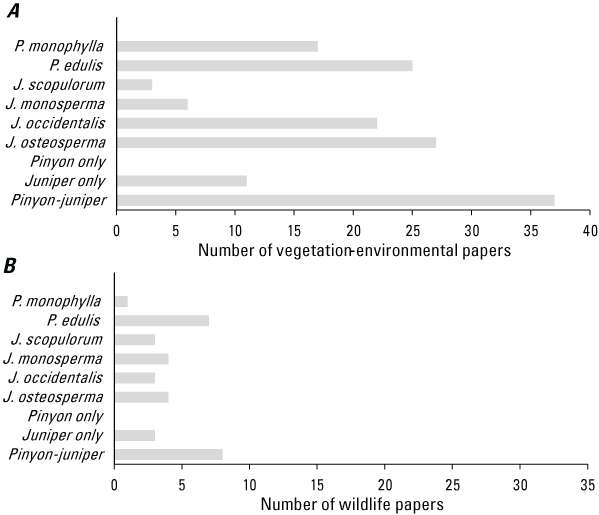 Two horizontal bar charts depicting the number of papers which assessed pinyon and
                           (or) juniper species for vegetation-environmental and wildlife responses. (A) For
                           vegetation-environmental responses, most papers assessed both pinyon and juniper;
                           by individual species, the two most common across papers were J. osteosperma and P.edulis.
                           (B) For wildlife, most papers assessed both pinyon and juniper, with P. edulis the
                           most common single species studied.