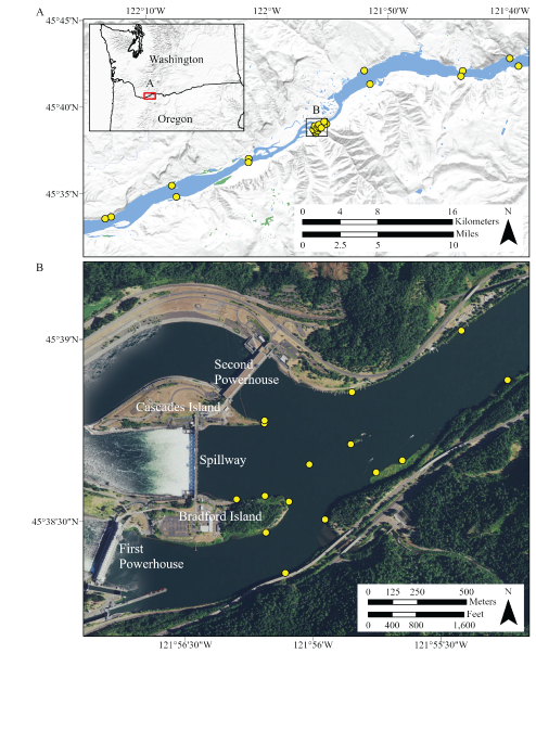 Section of Columbia River containing full study area on border of Washington and Oregon
                     and emphasizing relation of acoustic telemetry receivers to the features of the dam
                     forebay, March–October 2022.