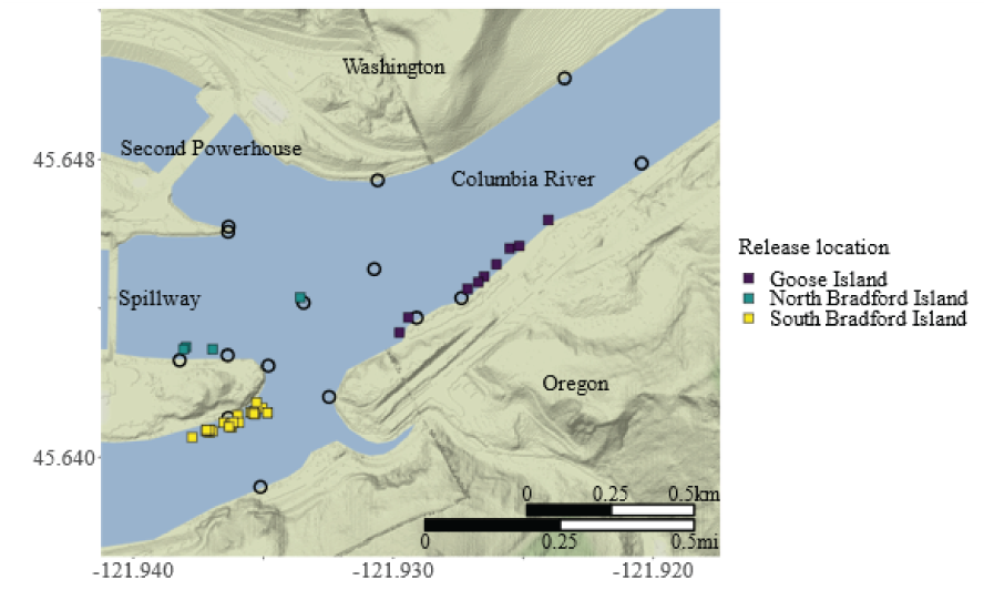 Points showing smallmouth bass release locations in three areas of the Bonneville
                        Dam forebay, Columbia River, Washington and Oregon, March–October 2022.