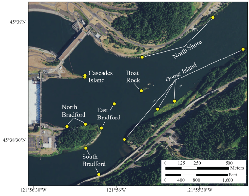 Points of receiver locations grouped by zone in the forebay of Bonneville Dam, Columbia
                        River, Oregon, March–October 2022.