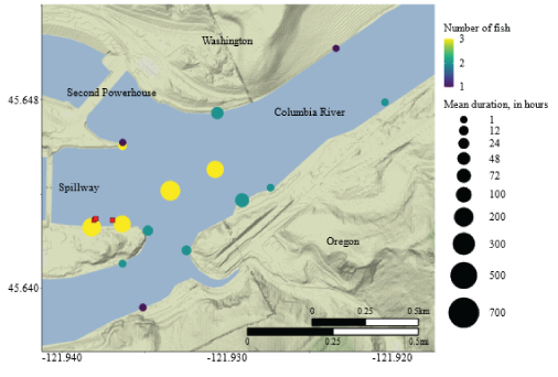 Receiver locations sized by residence time value and colored by number detected for
                           fish released at North Bradford zone, upstream from Bonneville Dam, Columbia River,
                           Washington and Oregon, March–October 2022.