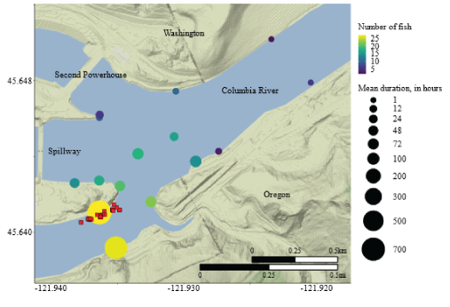 Receiver locations sized by residence time value and colored by number detected for
                           fish released at South Bradford zone upstream from Bonneville Dam, Columbia River,
                           Washington and Oregon, March–October 2022.