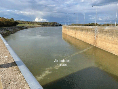 The downstream approach at Barkley Lock and Dam with the multimodal deterrent installed
                     and the air-bubble curtain visible.