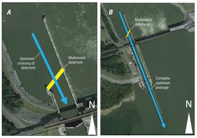 Images depict an upstream crossing of the multimodal deterrent in the downstream lock
                     approach at Barkley Lock and Dam and a full upstream passage through the lock chamber.