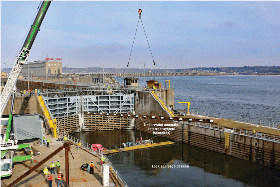 Alt text: The underwater acoustic deterrent system is suspended above the lock approach
                     channel by a crane. A group of people can be seen working on the installation.