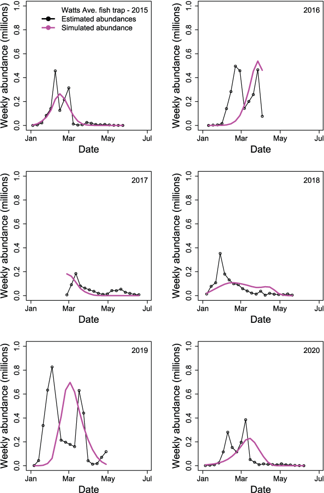 Weekly time series of abundances of juvenile Chinook salmon (Oncorhynchus tshawytscha)
                           by migration year passing the Watt Avenue fish trap when estimated from the trap catch
                           (black line and points) or simulated by the Stream Salmonid Simulator model (magenta
                           line), in the American River, California, 2015–20.