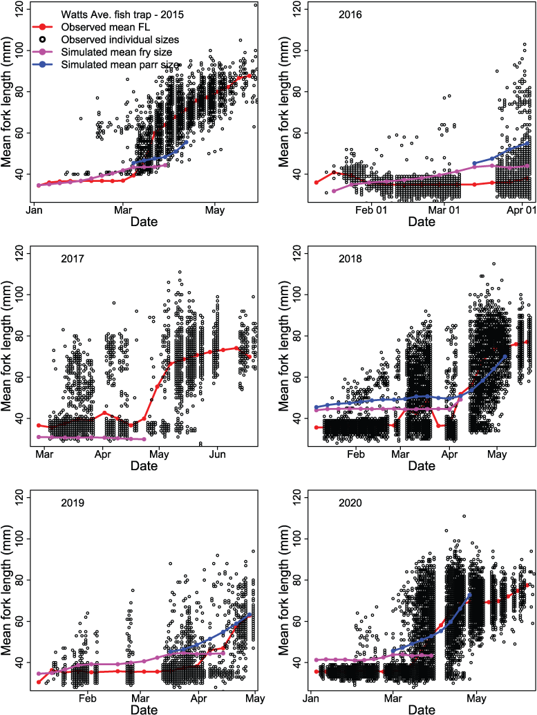 Time series of juvenile Chinook salmon (Oncorhynchus tshawytscha) fork lengths (FL)
                           at the Watt Avenue fish trap during each migration year, in the American River, California,
                           2015–20.