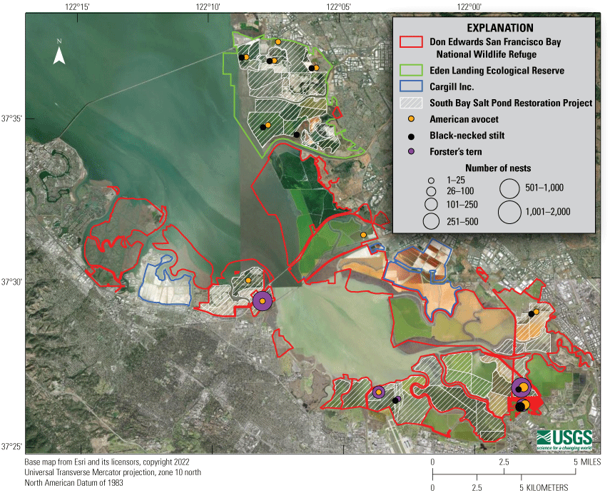 4. Waterbird nest distribution in 2022.