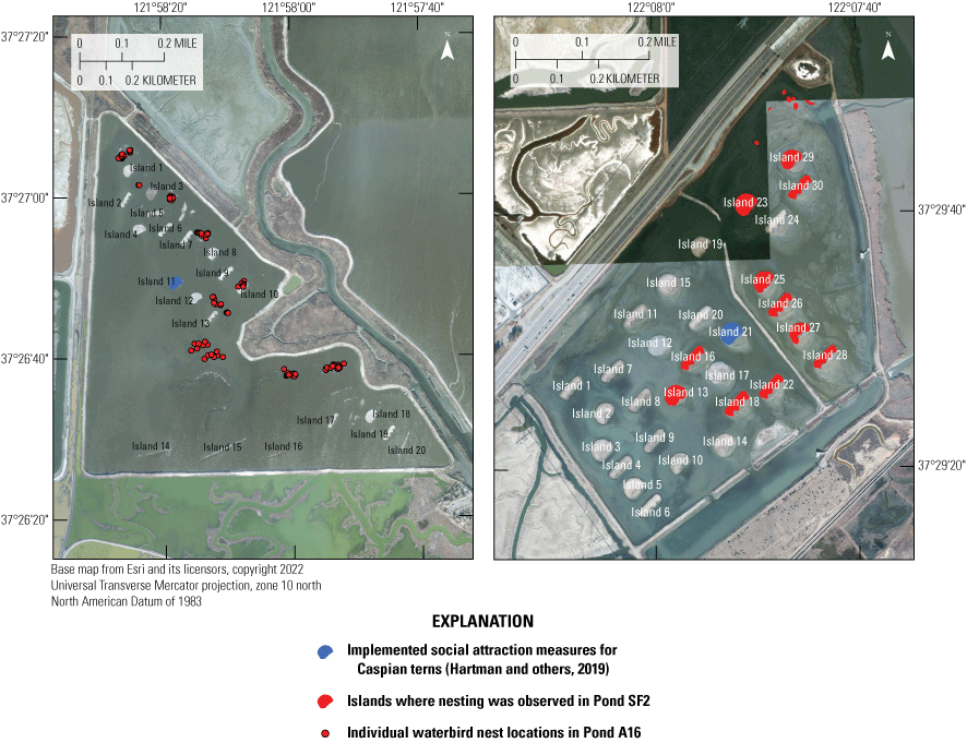 5. Nest locations in Ponds A16 and SF2.