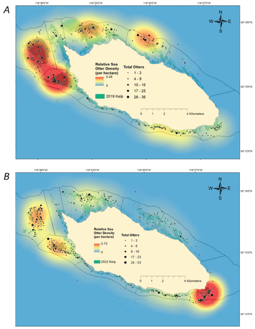 5.	Relative sea otter densities were spread around island but concentrated on the
                        west end during 2017–2019 and on the east end during 2020–2023.