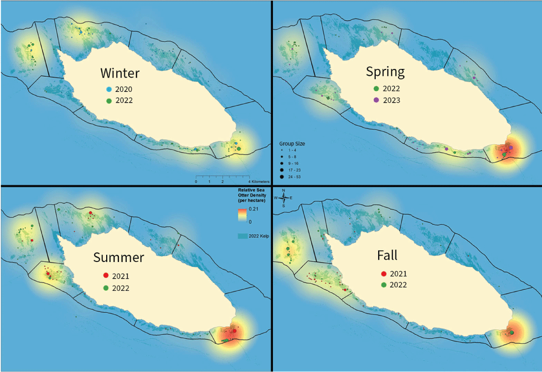 8.	Relative sea otter densities were spread around island across 4 seasons but concentrated
                        on the east end during spring, summer, and fall of 2020–2023.