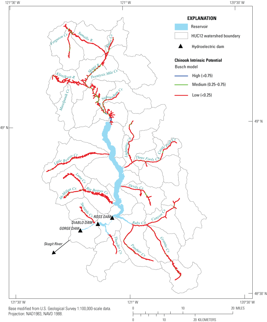 Map showing high (greater than 0.75), medium (0.25–0.75), and low (less than 0.25)
                           intrinsic potential scores for Chinook salmon (Oncorhynchus tshawytscha) derived from
                           the Busch intrinsic potential model applied to tributary and main-stem habitat upstream
                           from the Skagit River Hydroelectric Project dams, in northern Washington.