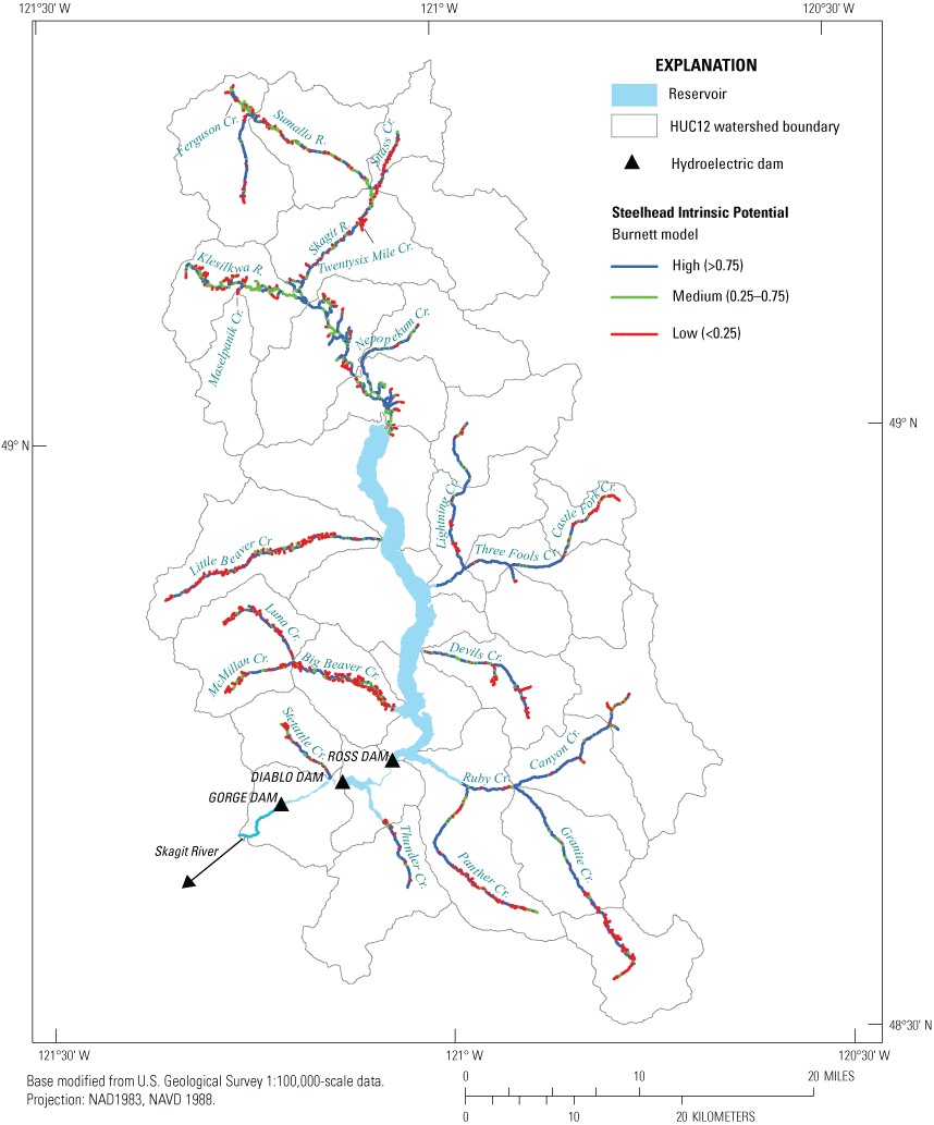 Results of intrinsic potential analysis for steelhead based on the Burnett intrinsic
                           potential model. For the main-stem Skagit River, each target tributary, and non-targeted
                           tributary reaches the amount of high, medium, and low intrinsic potential habitat
                           reaches is shown for the potential fish distribution given in figure 1.