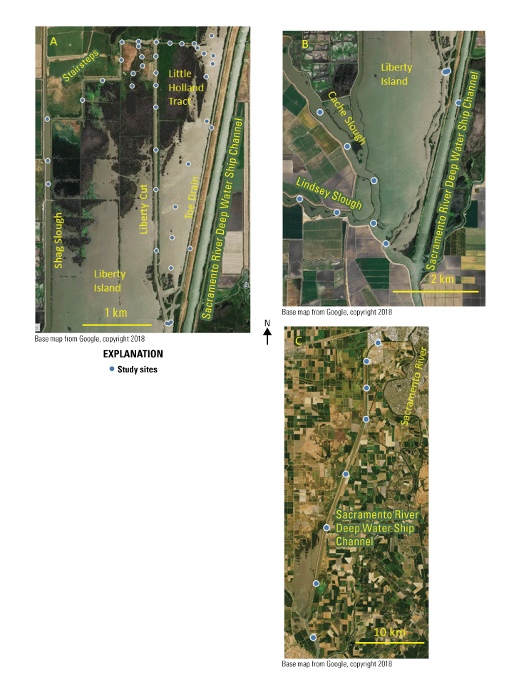 49.	Benthos study sampling sites in the northern Sacramento–San Joaquin Delta.