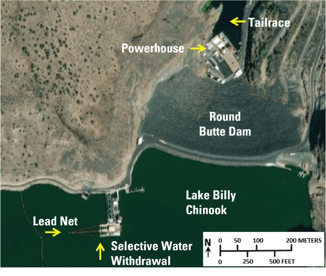The selective water withdrawal structure is in Lake Billy Chinook, approximately 200
                        meters from Round Butte Dam.