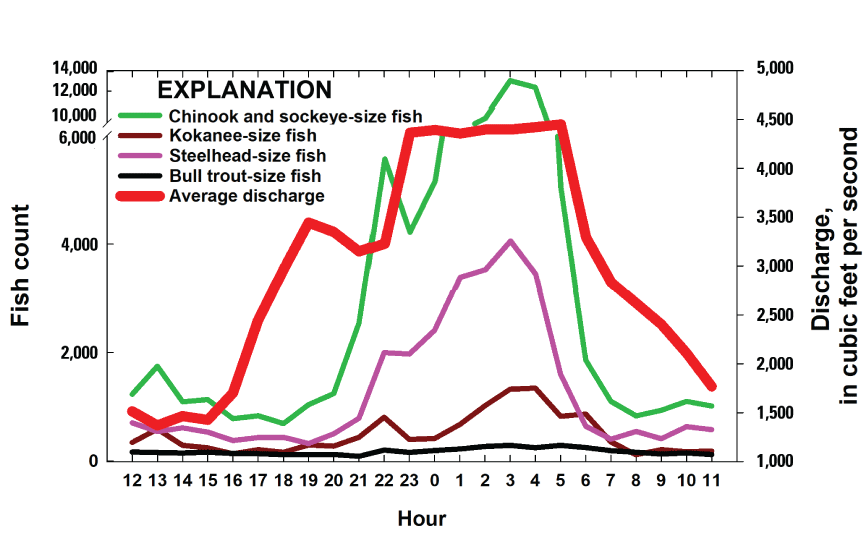 Graph showing counts of fish-size groups by hour of detection at the collector entrances
                        using the adaptive resolution imaging sonar at the selective water withdrawal collector
                        at Lake Billy Chinook, Oregon, 2022.