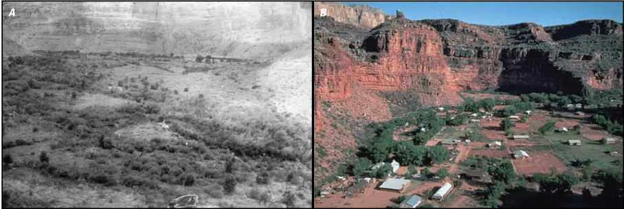 Black and white photograph of Supai village in 1893 next to a color photograph of
                     the village with numerous structures in 2016.