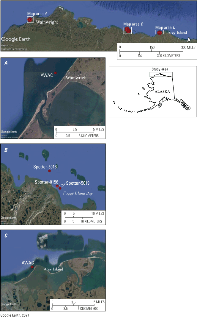 6.	Maps showing observation locations at Wainwright, Foggy Island Bay, and Arey Island
                     on the North Slope of Alaska.
