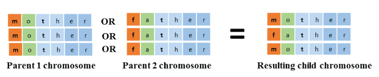 Flip-flop mutation is used in the genetic algorithm. Flip-flop mutation swaps entire
                           sections of the chromosome randomly selected from one of two parent chromosomes. The
                           resulting child has the exact same barrier design as one of its parents, where each
                           barrier design for a junction may have come from either parent. The diagram shows
                           chromosomes for each of two parents. Each chromosome is made up of three vectors,
                           one each for three junctions within the Sacramento-San Joaquin River Delta.