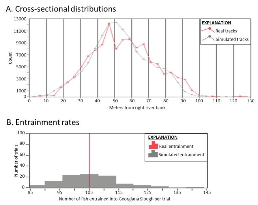 Cross-sectional distributions and entrainment rates of simulated fish tracks versus
                        observed tracks within Georgiana Slough when the 2011 and 2012 bioacoustic fish fences
                        were operational. The cross-sectional distribution of observed fish tracks compared
                        to those of a series of simulated fish tracks released at the same location and water
                        flow levels. The frequency of trials that resulted in the number of entrained simulated
                        fish per trail relative to the number of observed fish entrained in the 2011 and 2012
                        bioacoustic fish fence barrier studies when the fence was operational.