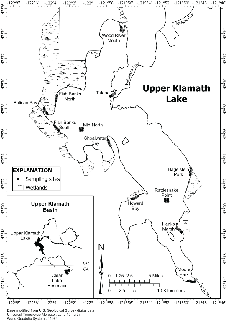 Sample sites are evenly distributed among the northern and southern portions of Upper
                     Klamath Lake, Oregon.