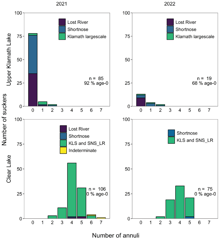 Growth, Survival, And Cohort Formation Of Juvenile Lost River 